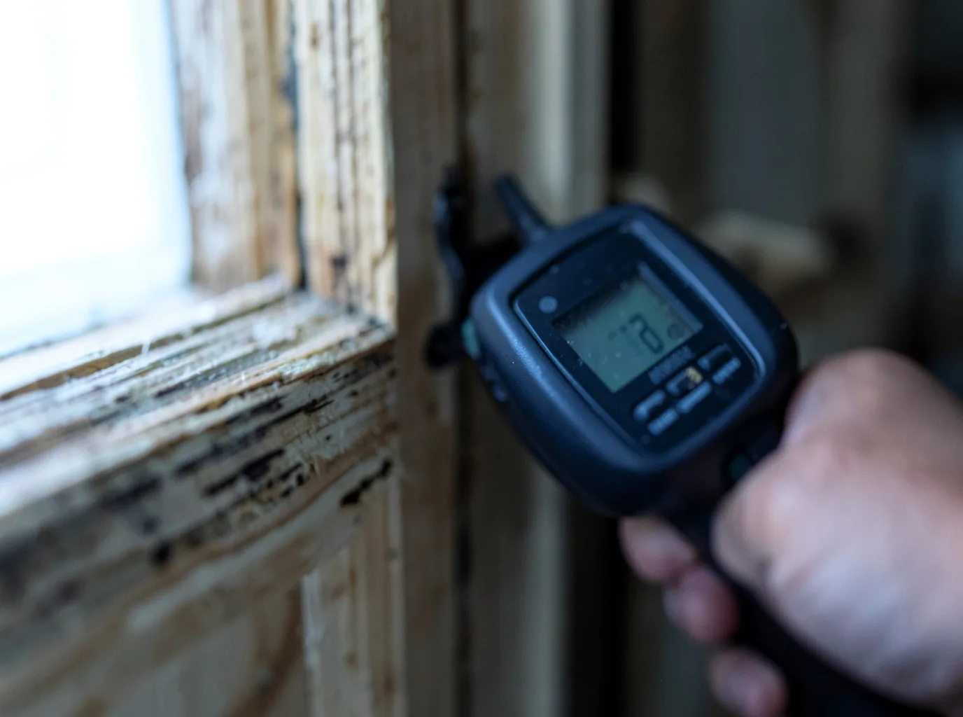 Moisture Inspection And Documentation in Plymouth, WA